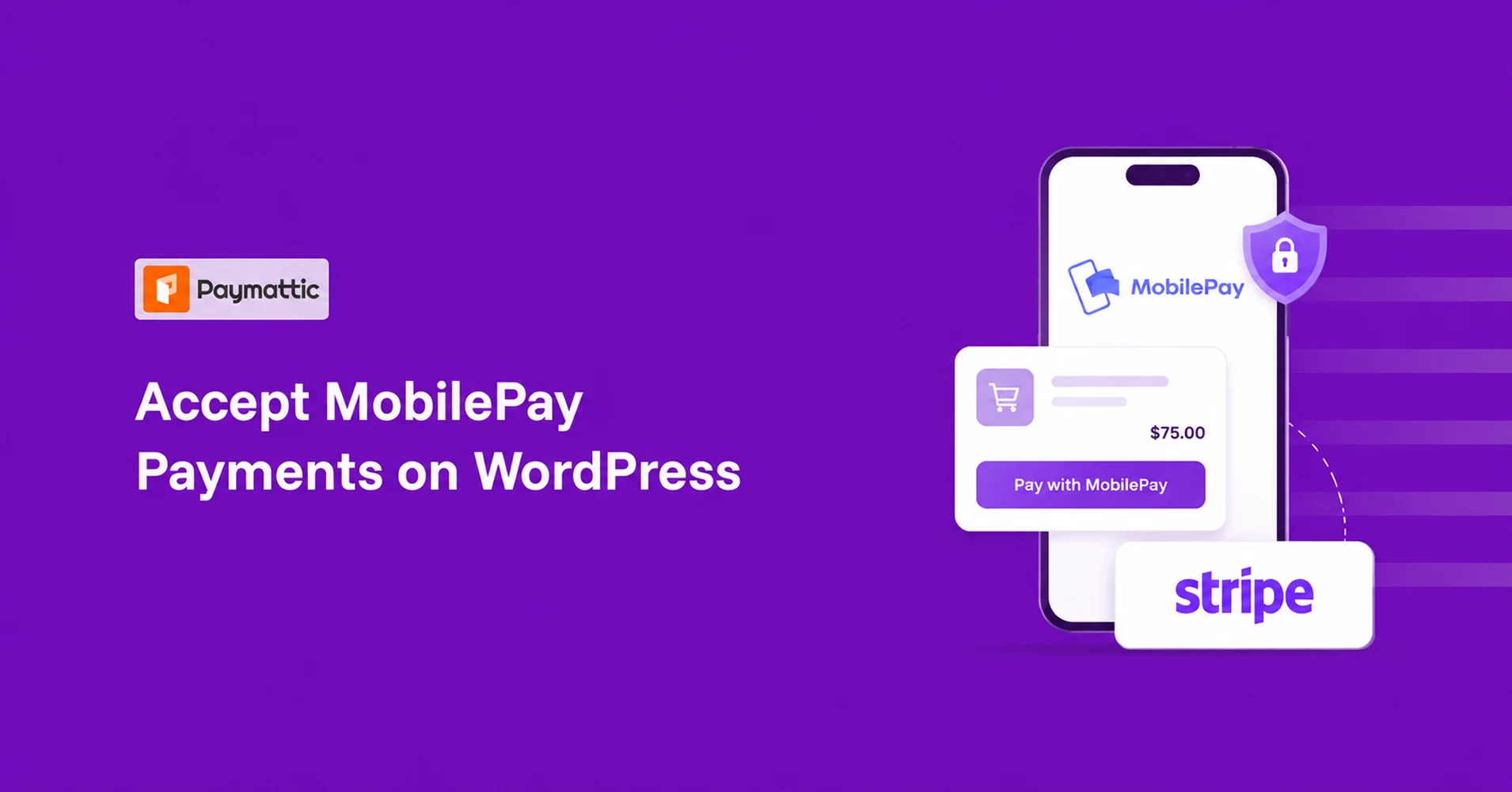 accept mobile pay payment